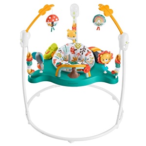 FISHER PRICE ゆかいなレインボーフォレスト ジャンパルー